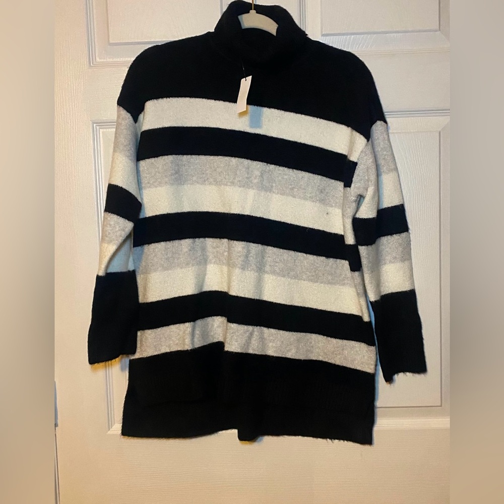 Talbots Plus Turtleneck Sweater Size X